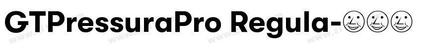 GTPressuraPro Regula字体转换